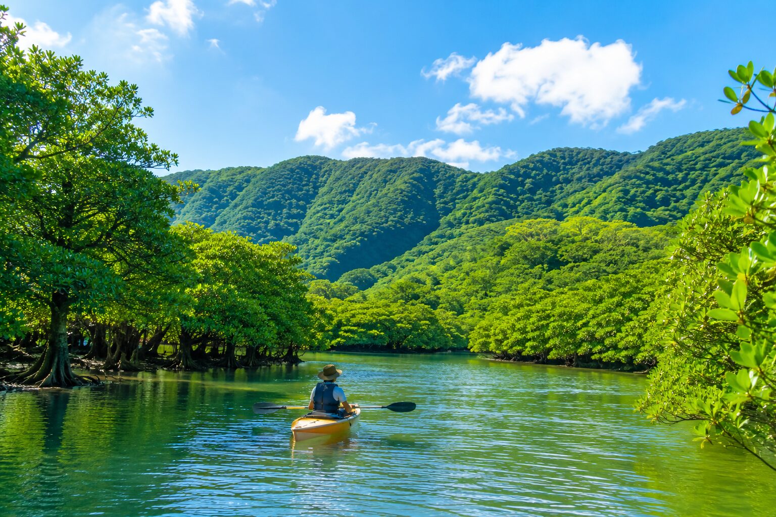 IRIOMOTE