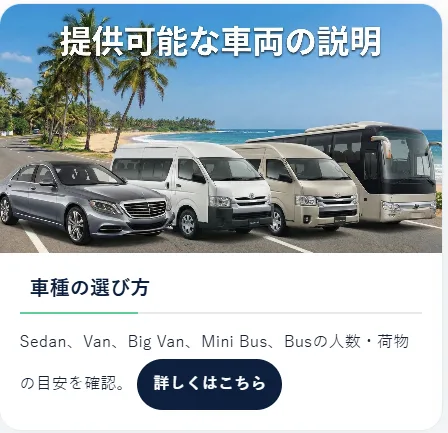 ランカミー公式の車種の説明。セダン・バン・ビッグバン・ミニバス・バスの外観（クリックで公式ページへ）